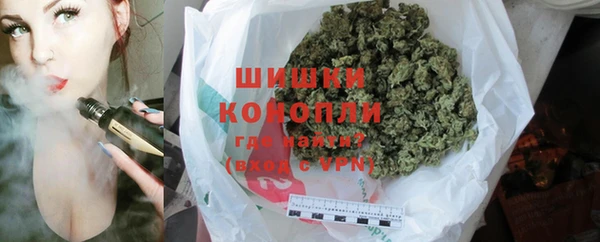 ГАЛЛЮЦИНОГЕННЫЕ ГРИБЫ Каменногорск